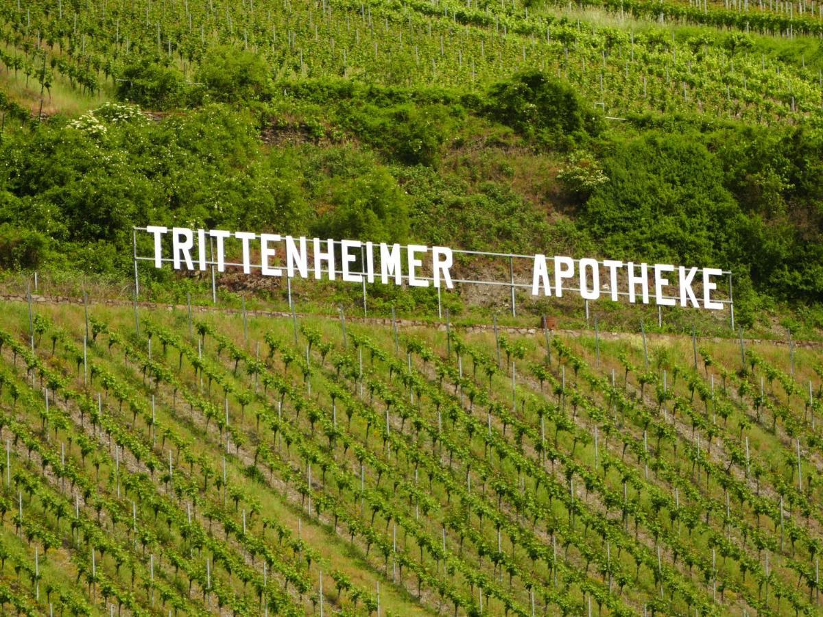 Katrin-Cara Mia Ferienwohnung Trittenheim Esterno foto