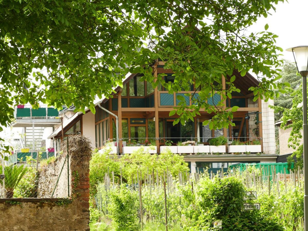 Katrin-Cara Mia Ferienwohnung Trittenheim Esterno foto